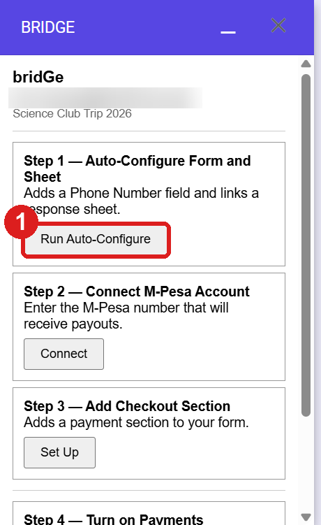 The bridGe panel with the Run Auto-Configure button (1)